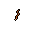 worm