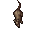 Rat
