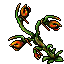 Spit Nettle