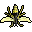 Wasp