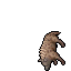 Hyaena